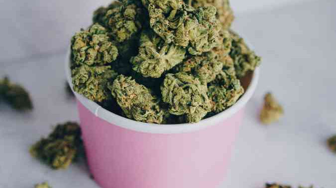 Fleurs de Cbd pas chère