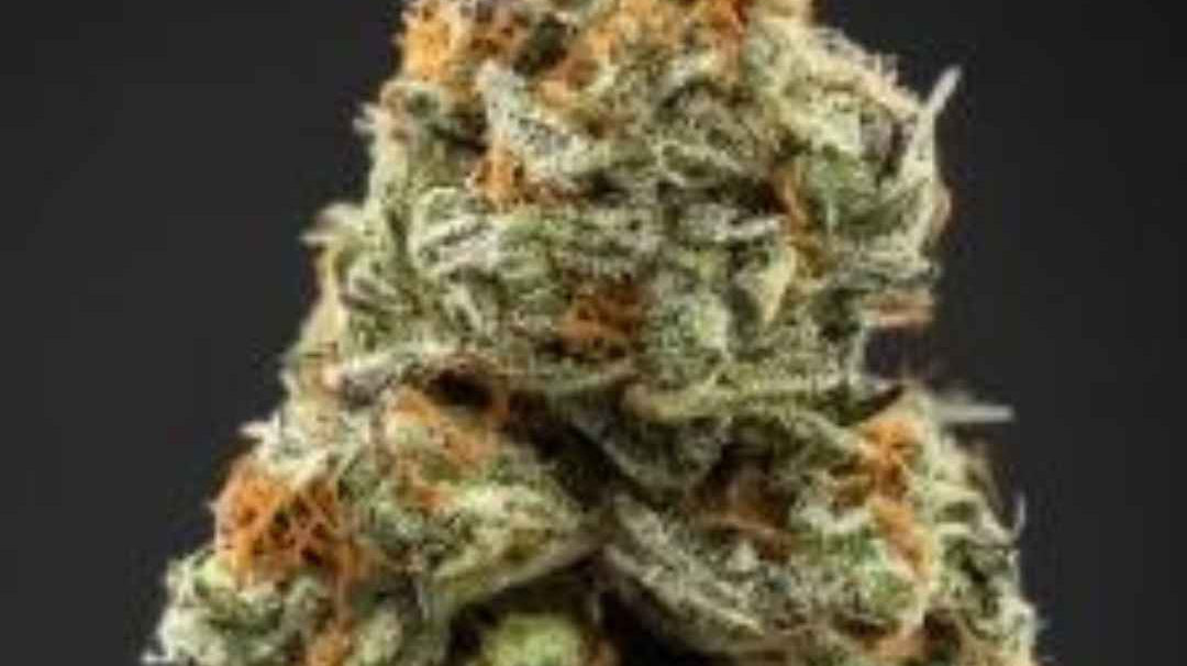 Fleurs de CBD : Découvrez les différents types disponibles