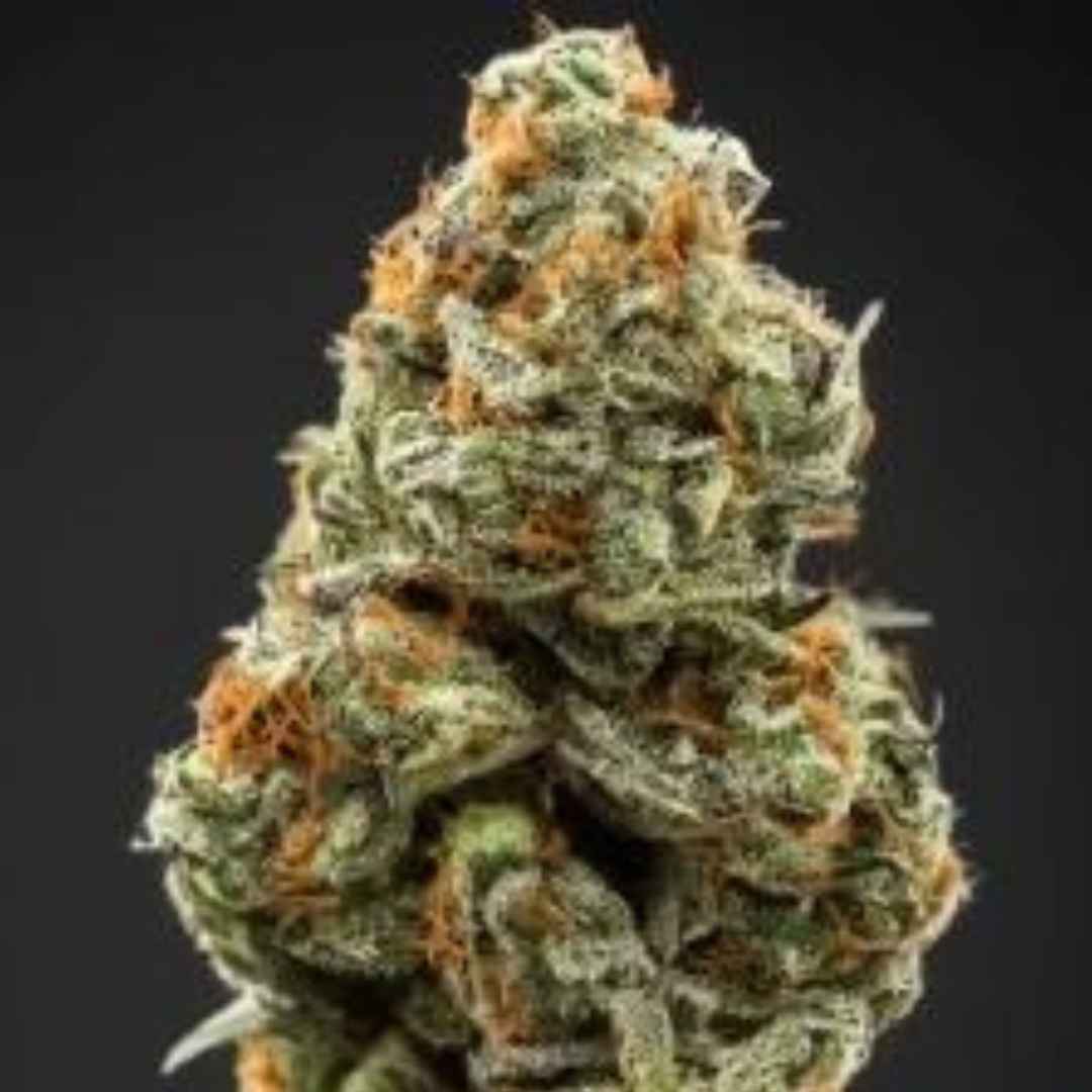 Fleurs de CBD : Découvrez les différents types disponibles