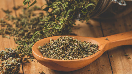 les bienfaits du chanvre