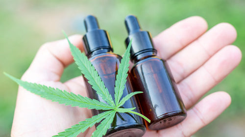 Le caryophyllène : qu’est-ce que c’est ?