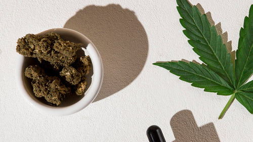 trouver du cbd pas cher