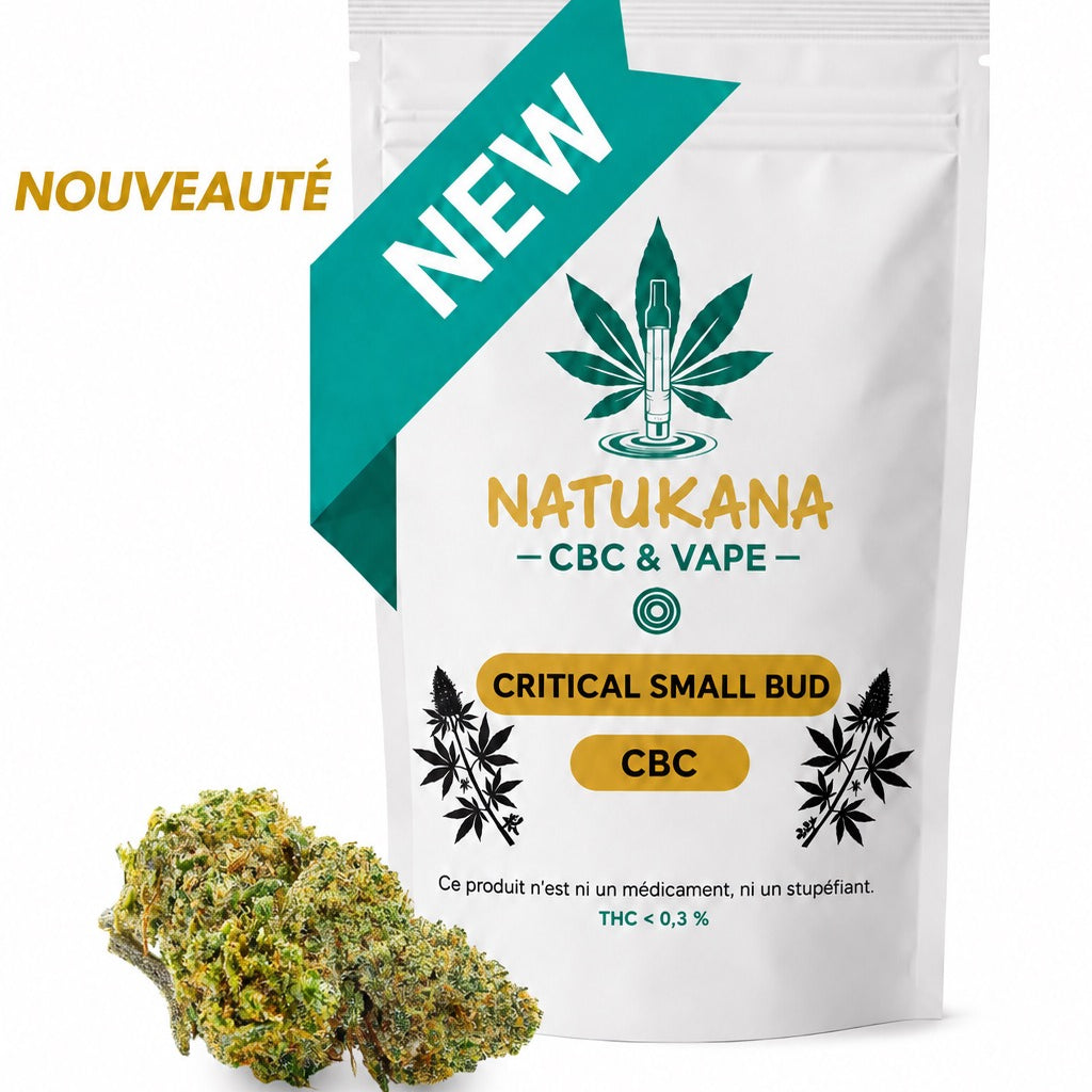 Critical Small Bud