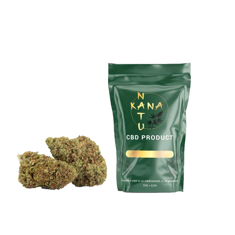 Mango Haze Indoor