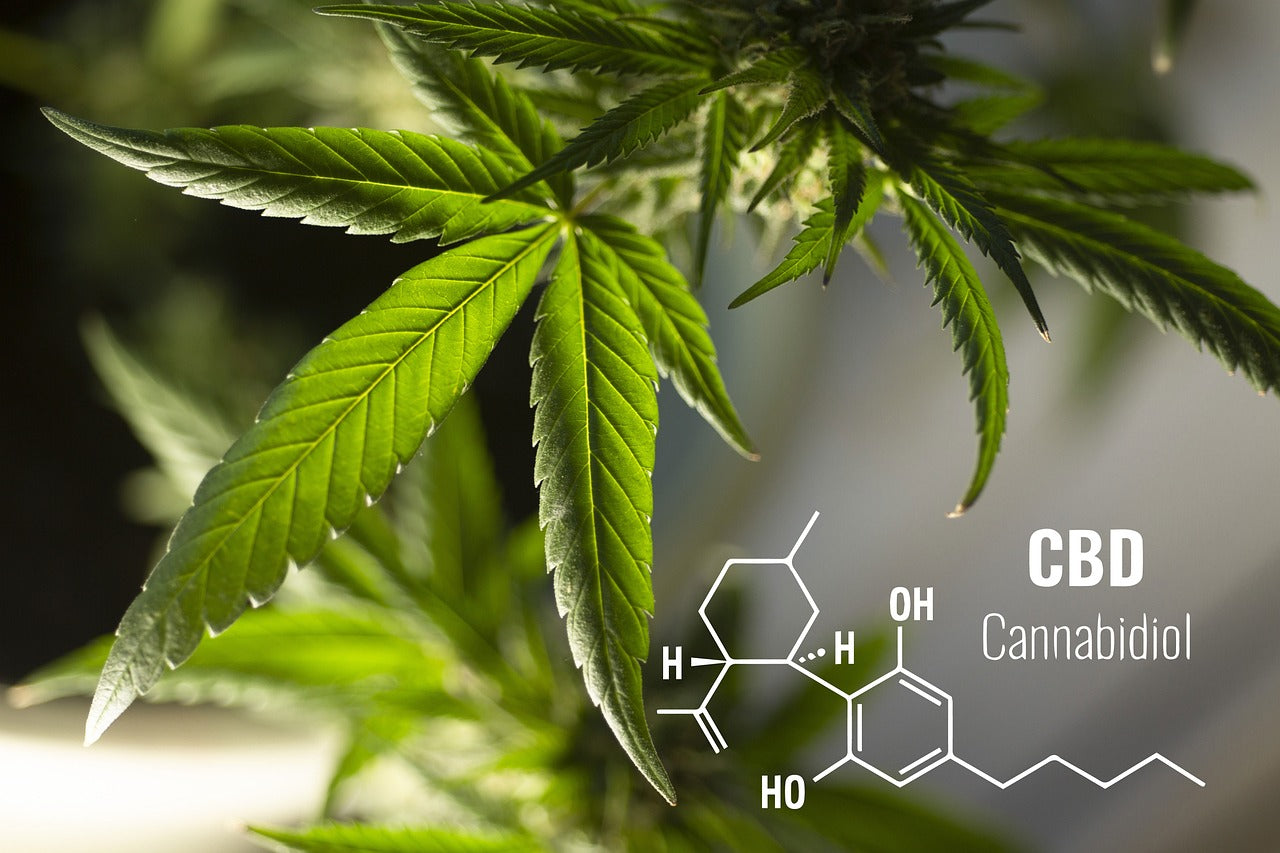 Le CRD est-il une molécule de synthèse ou un cannabinoïde naturel ?