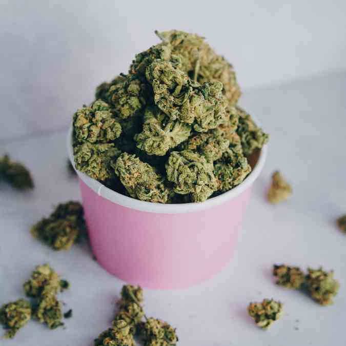 Fleurs de Cbd pas chère 