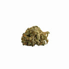 Tête de fleur de chanvre Skywalker CBC gamme Magic