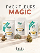 Pack Fleurs Magic : Tropical Dream, Ice Cream Cake, Gary Payton (3 g)