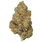 Tête de fleur de chanvre Skywalker CBC gamme Magic, dense et givrée