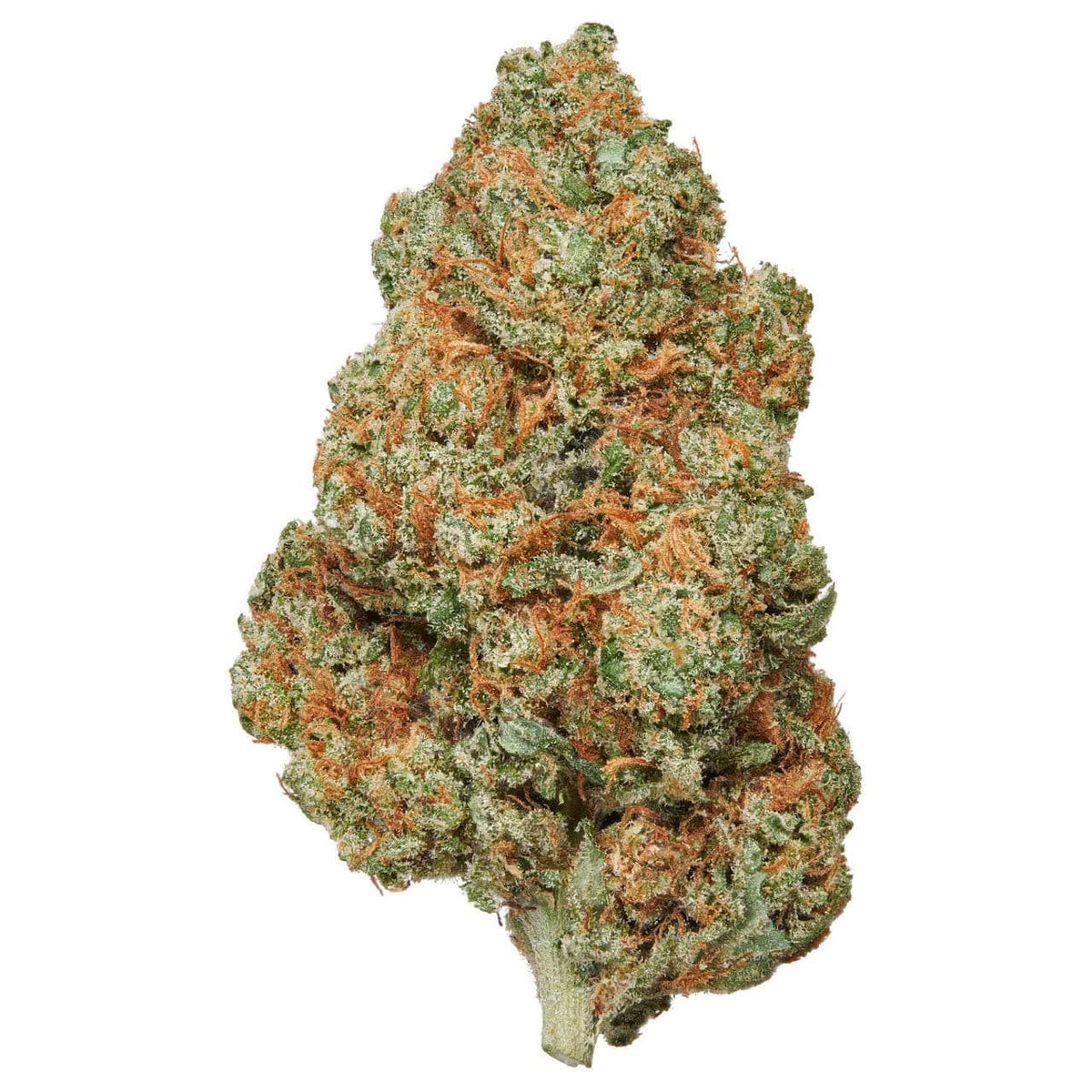 Tête de fleur de chanvre Lemon Cookie CBC, dense et givrée